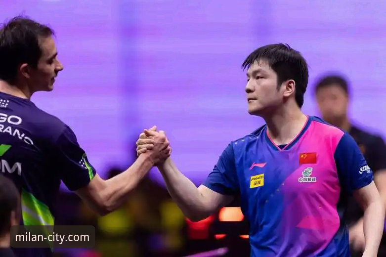 WTT重庆冠军赛男单决赛深度复盘：青春风暴与未来格局详解